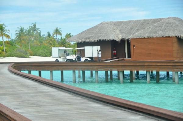 秋冬器官缺“氧” 萝卜韭菜来帮忙