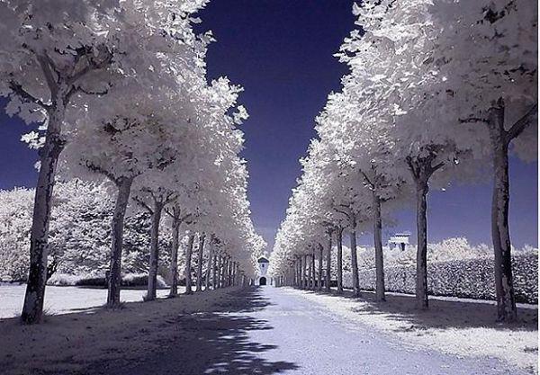 过敏：9款美食推荐（上集）