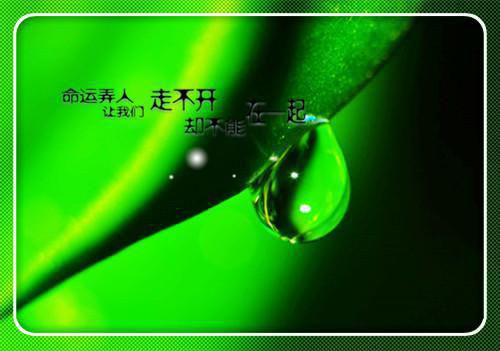 十种食物灭肝火