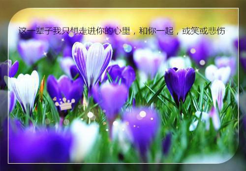 春天应该喝些什么汤