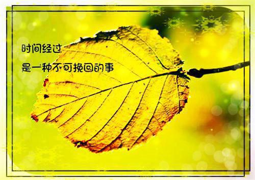 增强免疫力多吃七种食物