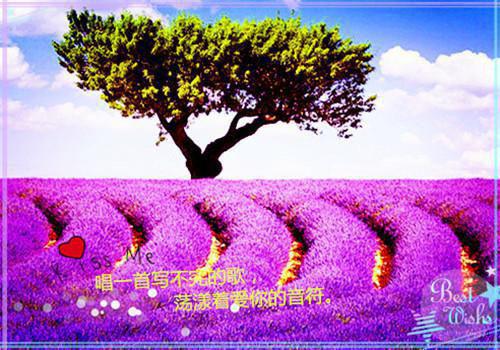 中老年吃这些食物养护血管