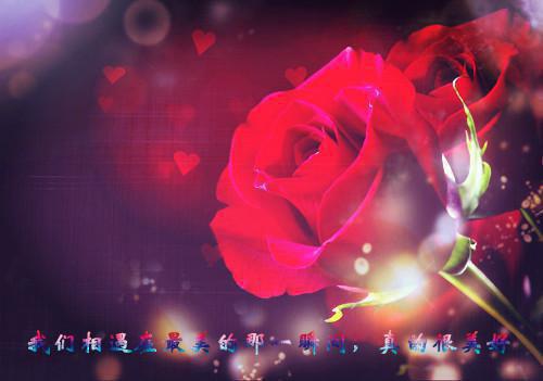 食疗四步骤 解决“加班综合症”