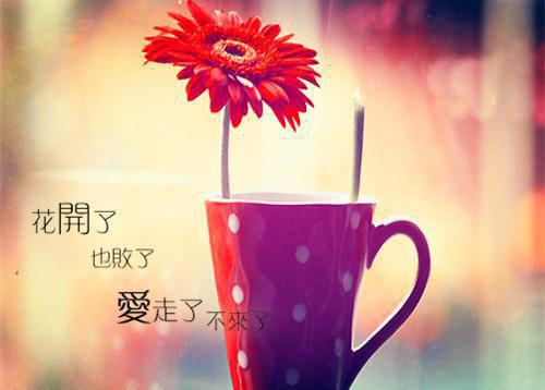 早餐就吃这4种低脂食物