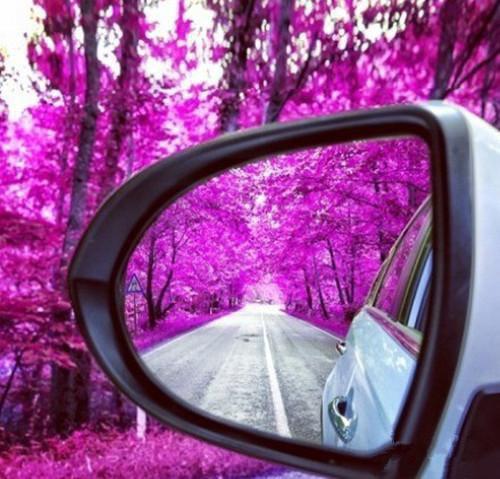 “上火”荔枝也是消食佳品