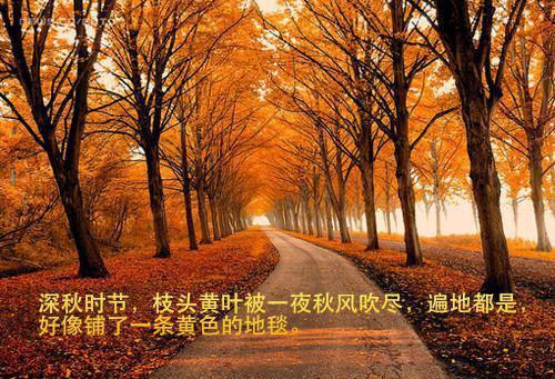 腰间盘突出患者的饮食宜忌