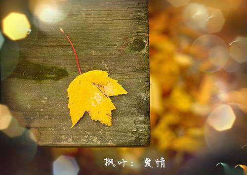 天冷要喝四种养胃汤