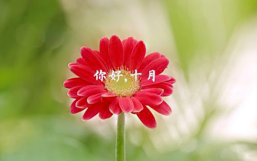 宝宝食欲差不妨加点醋