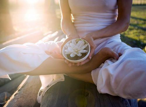 九大补脑美味食物