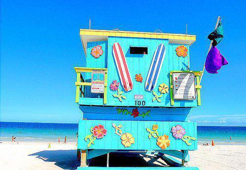 佛手瓜营养价值剖析