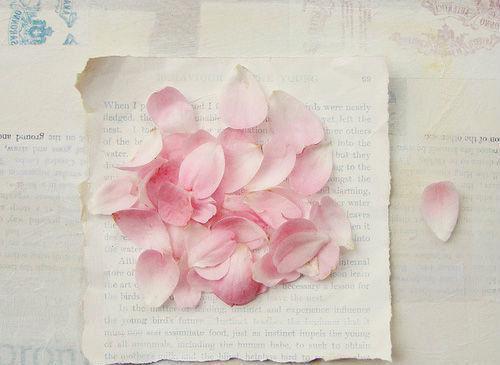 肾脏排毒吃点这种菜