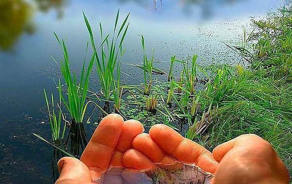 健康排毒牢记3个绝招