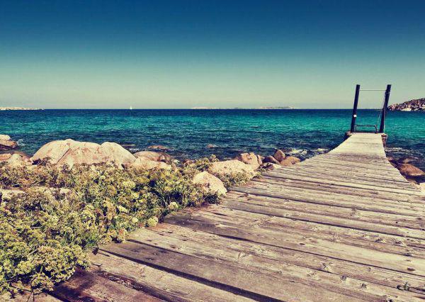 缓解嗓子疼 喝白萝卜根榨汁