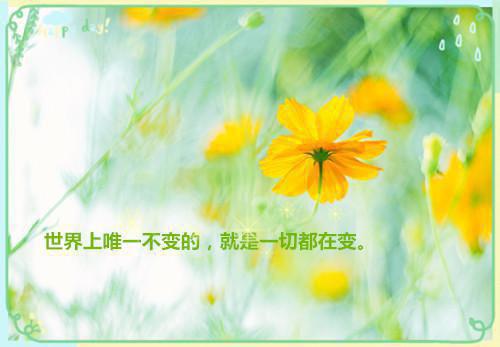 儿童吃粗粮预防糖尿病