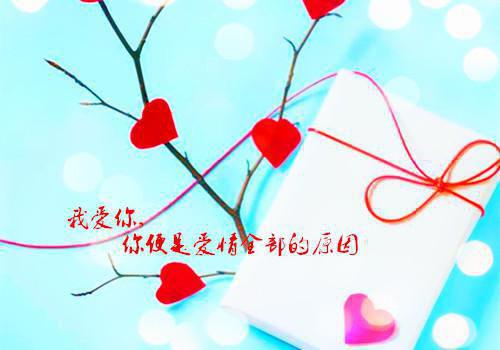 一年四季都能吃到的健康菜