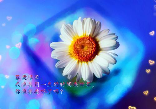 夏季水果减肥，妹子们必备