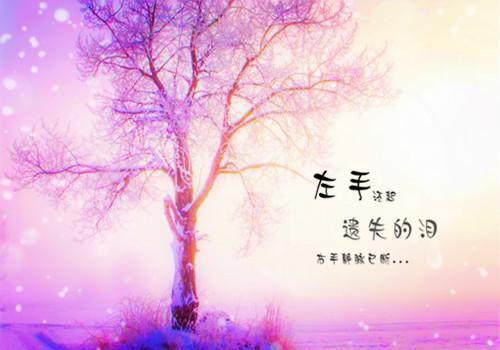 泡个樱桃花澡 缓解疲劳一整天