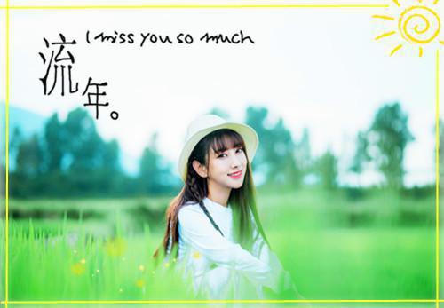 蛰皮的营养分析