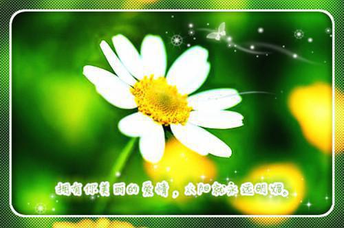 高钾饮食可以降低血压