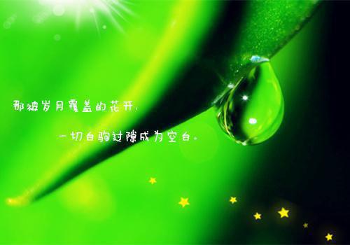 儿童换牙适合吃硬食