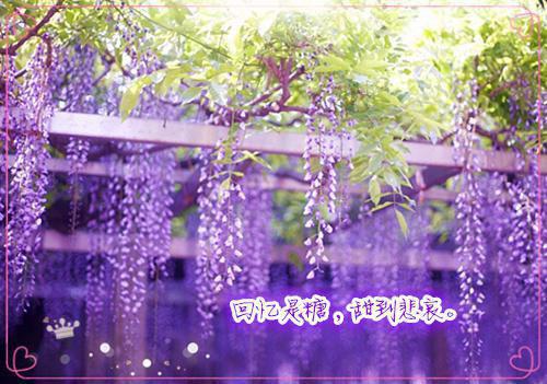 中医告诉你不是黑色食物就补肾