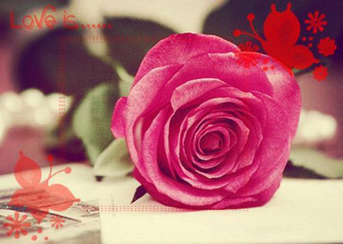 春天来了易困倦 一杯茶提神醒脑缓解压力