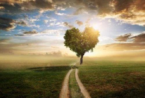 冬季干燥 饮食多酸少咸就补水