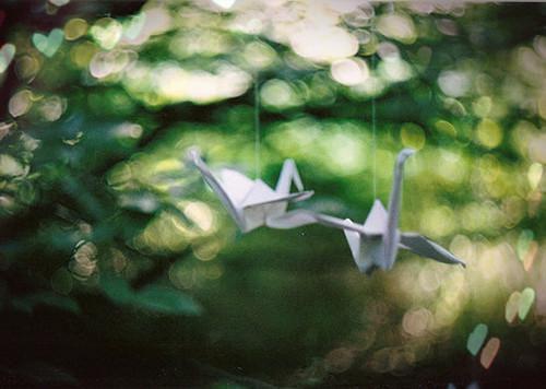 春季养生 吃肉不如吃豆