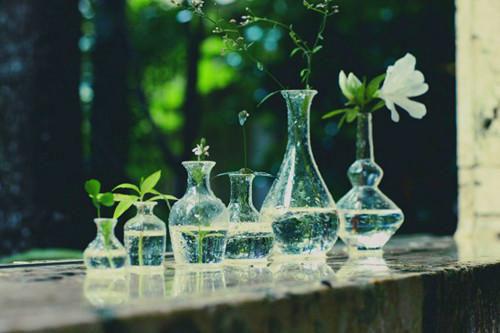 女性健康养血补血6法