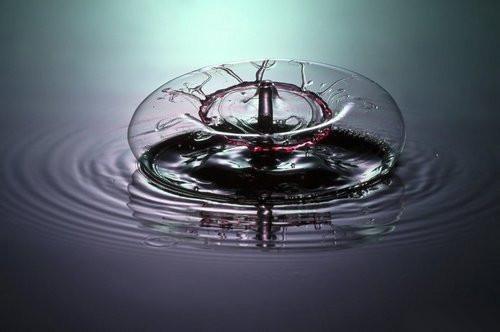 防癌大王 — 椰菜