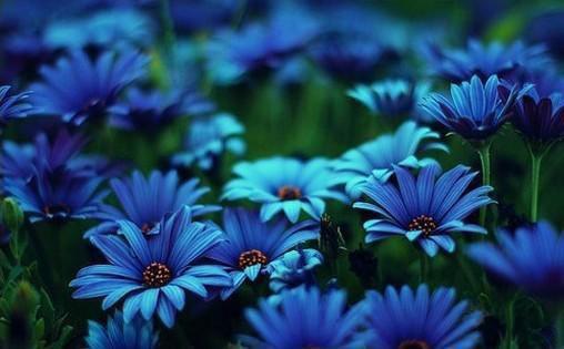 女性经期吃鱼增强免疫力