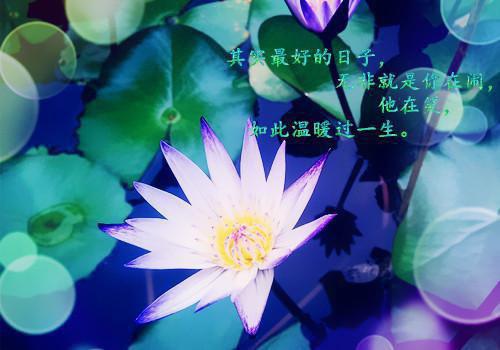 巧吃蔬菜预防口臭