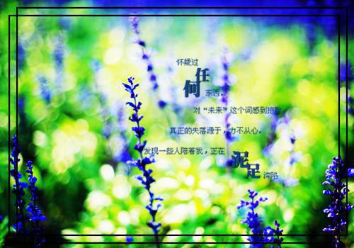 宝宝夏季出游小贴士