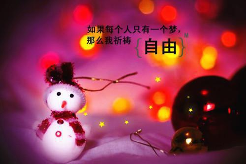 冬日里的养生“一点红”