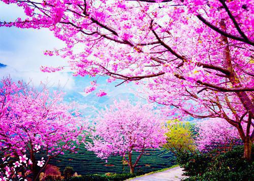 选对食物让你聪明过人