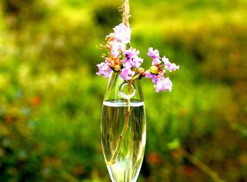 6类食物搭配保护乳房