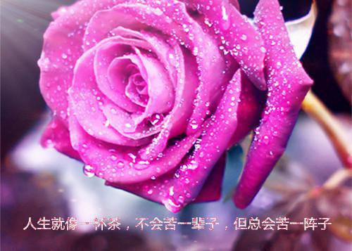 孕妇吃葡萄好吗？孕妇吃葡萄的注意事项