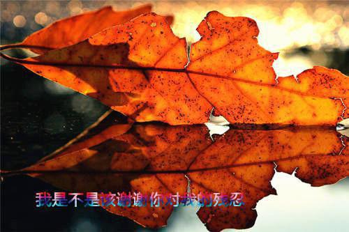 孕期要补钙 备孕要补钙吗