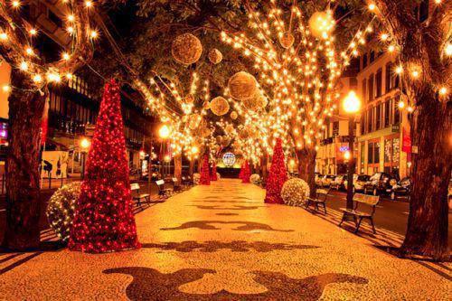 5种专属女人的养生食物