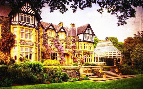 多吃这四种食物能增强记忆力