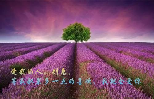 五大饮食禁忌 孕前你必须知道