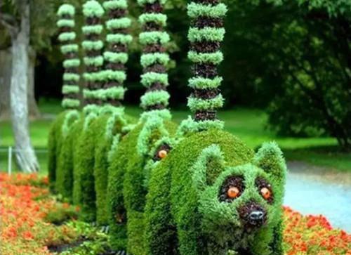 下火消食：蘑菇海鲜汤