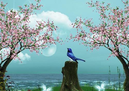 秋季防癌养肾首推莲子汤