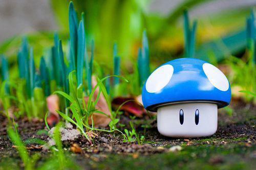 电脑族专用！美味养肝粥