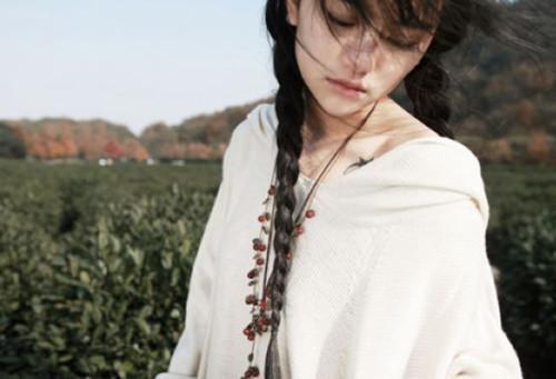 金针菇营养价值剖析