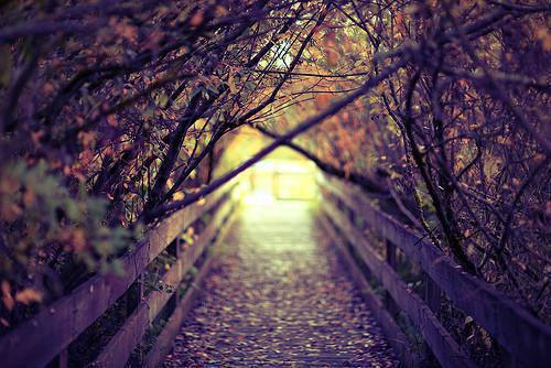 治疗胃寒，8种土方法很可靠