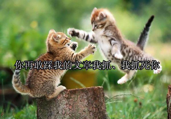准妈妈是否能吃苦瓜？