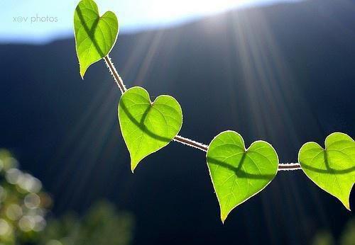 三种不同的玉米羹做法 春季保持好身材