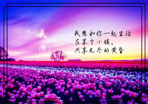 夏季需补气 9种食物来助力