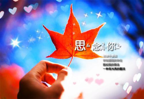 牛初乳真的能提高宝宝抵抗力？